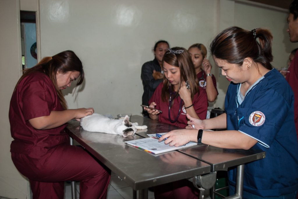 CVM_Spay-and-Neuter-Campaign-pics-4