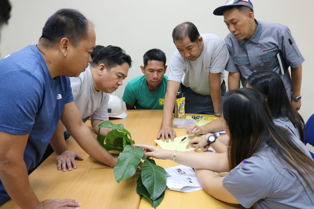 Training on tree ID for private company