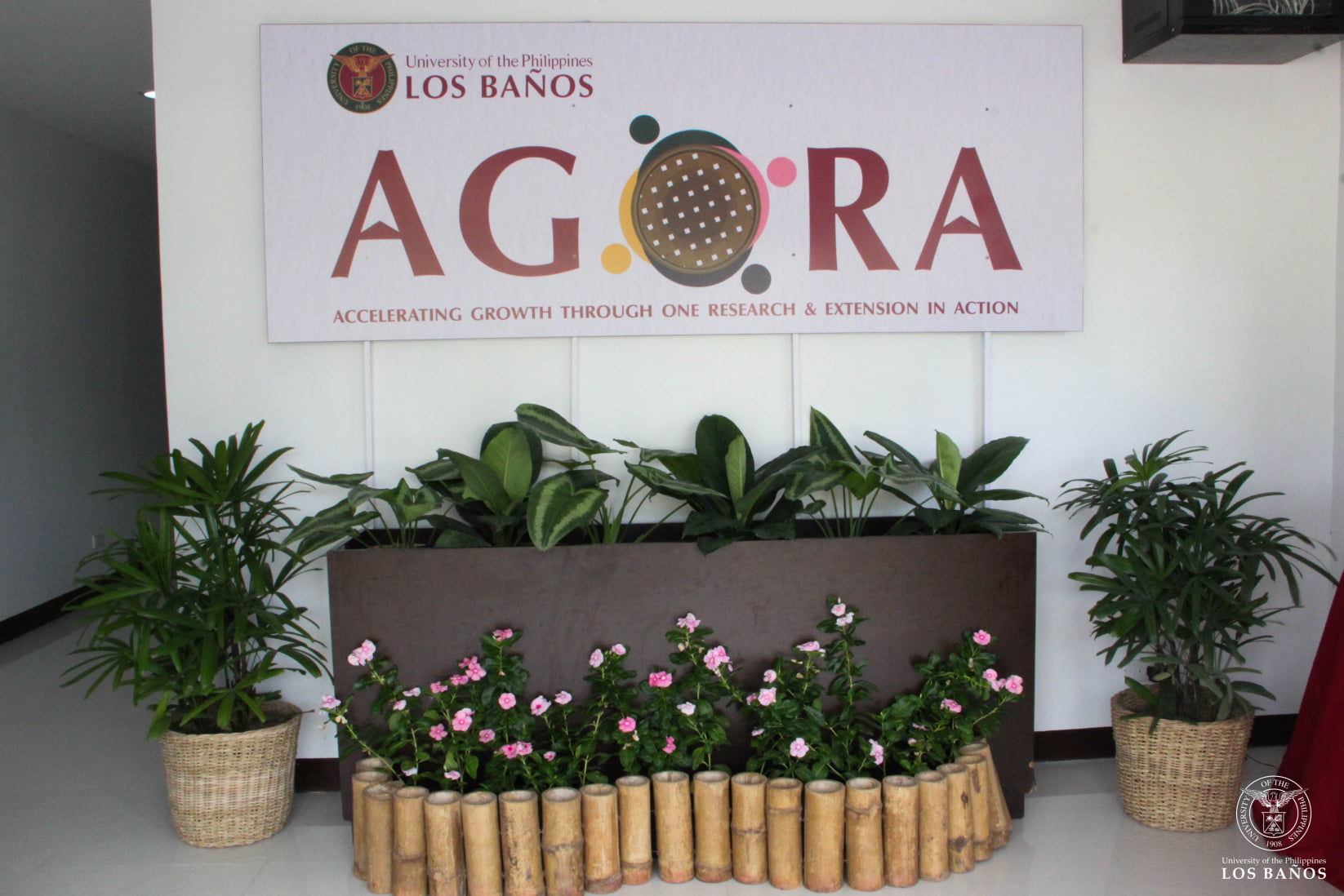Soft launching of the UPLB AGORA