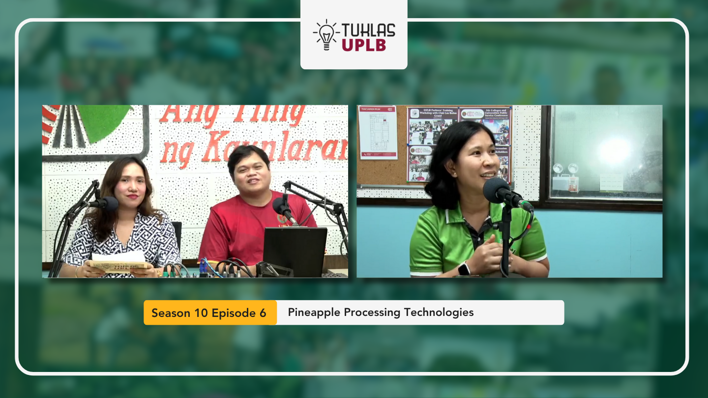 Tuklas UPLB: Pineapple processing technologies